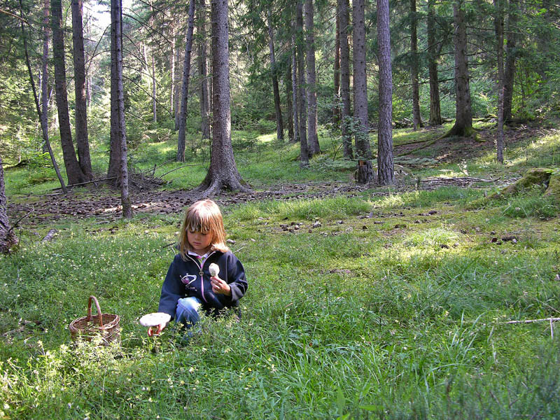 Ritrovamenti del 19 luglio.